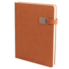 ALTINOVA TABA TARİHLİ AJANDA