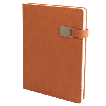 ALTINOVA TABA TARİHLİ AJANDA