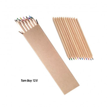 BAŞYAYLA 12 Lİ TAM BOY BOYAMA SETİ